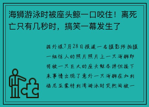 海狮游泳时被座头鲸一口咬住!离死亡只有几秒时,搞笑一幕发生了